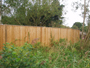 Close Board Fencing