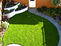 Structured Green Lawn
