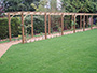 Soft Wood Constructed Pergola