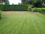 Lawn with raised wooden walling
